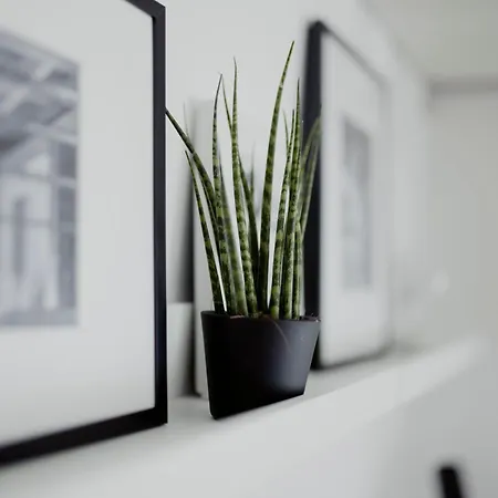 Apartment Photographer's House