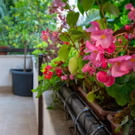 Photographer's House Апартаменты Рим